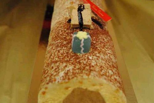 Tronc mousse de turro